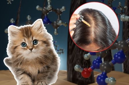 ¿Es seguro usar minoxidil cerca de mascotas?