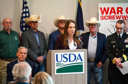 El Gobierno de Estados Unidos ordenó suspender con efecto inmediato todas sus exportaciones de ganado y animales vivos hacia México.