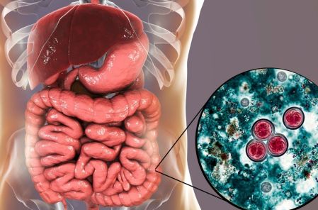 Cyclospora qué es, síntomas además de la diarrea repentina y cómo se transmite
