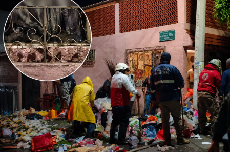 Sacaron montañas de basura del lugar