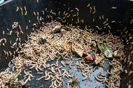 Imagen generada con IA.