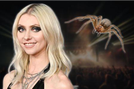 ¿Qué araña mordió a Taylor Momsen antes de su show con AC/DC?