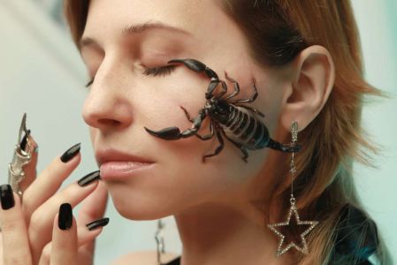 Soñar con alacranes qué significa si te pican o son grandes / Canva