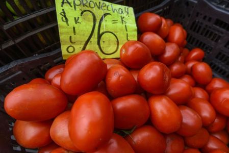 ¿Por qué está tan caro el jitomate en México? Esto pasó