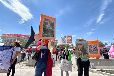 Los manifestantes exigieron conocer la ubicación exacta de cada uno de los canes y felinos que vivían en el Refugio Franciscano