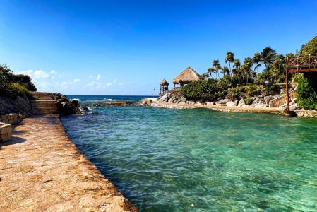 Limitar difusión cultural frenaría las inversiones, advierte CNET