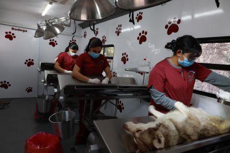 Las jornadas comenzarán a partir de las 9:00 horas y se contempla la entrega de 90 fichas por día