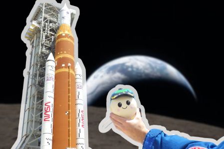 ¿"Rise", la mascota de Artemis ll también regreso a salvo del viaje a la Luna?