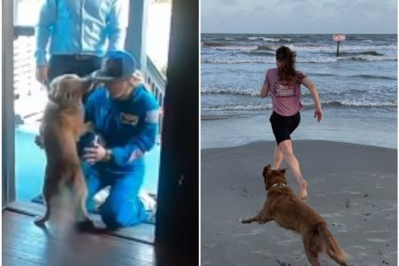 La astronauta de Artemis II mostró el recibimiento de su perro