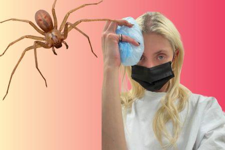 Cantante Taylor Momsen mordida por una araña en CDMX.