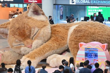 ‘Catzilla’ recibe a pasajeros en la Terminal 1 del aeropuerto de Hong Kong.