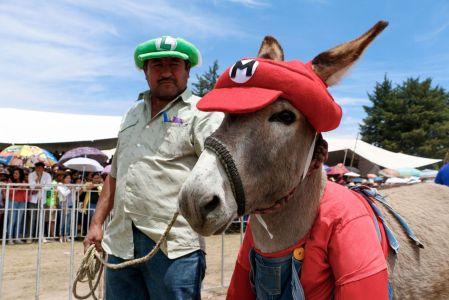 Feria del Burro en Edomex.