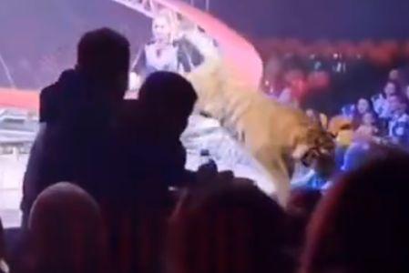 El público huye tras el salto de un tigre hacia la platea durante la función en Rostov del Don.