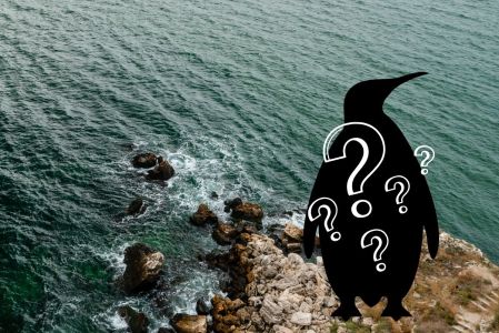 ¿Cuál es el pingüino más raro del mundo?