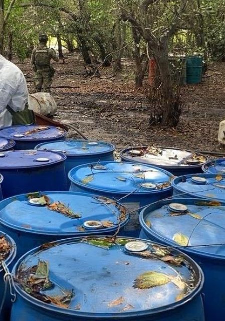 Resultados de la Semar