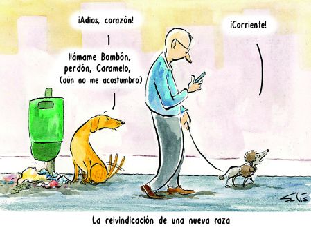 Cartoon 26 de abril del 2026