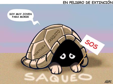 Cartoon Gregorio 07 de Mayo del 2026