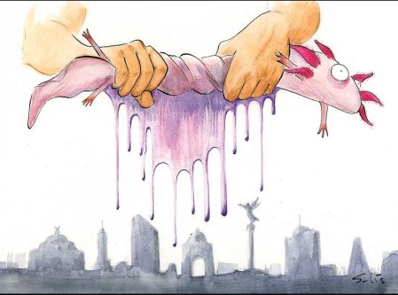 Cartoon Solís 14 de Mayo del 2026.