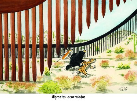 Cartoon Solís 19 de mayo del 2026