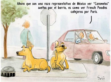Cartoon Solís 24 de Mayo del 2026.
