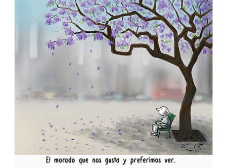 Cartoon Solís 26 de Mayo del 2026.