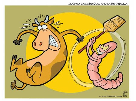 Cartoon Llera 31 de Julio del 2026.