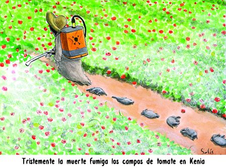 Cartoon Solís 3 de agosto del 2026