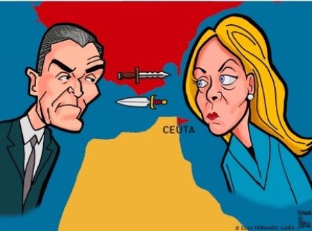 Cartoon Llera 5 agosto 2026