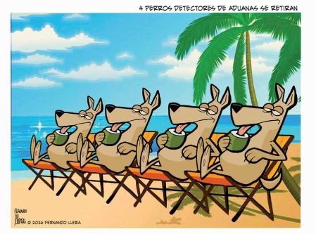 Cartoon Llera 07 de Agosto del 2026.