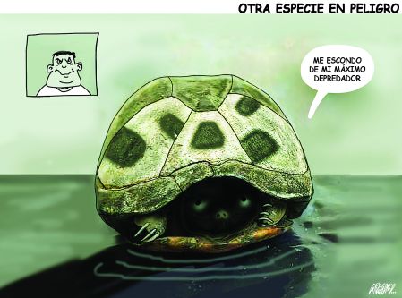 Cartoon Gregorio 17 de agosto del 2026