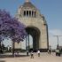 Festival de las Flores en el Monumento a la Revolución CDMX, fechas