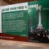 La exposición ¿De qué color pinta el verde? La selección mexicana de futbol y su representación en el mundo se exhibe en El Colegio Nacional.