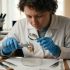 Muela hallada en Siberia apunta a una antigua práctica dental entre neandertales