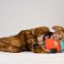 Patán es un perro privilegiado que cambia su perspectiva de vida cuando escucha los lamentos de Segismundo, un perro que vive abandonado en una azotea