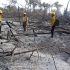 Los incendios provocados en esta zona ha provocado severos daños ecológicos.
