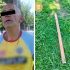 En la CDMX, el maltrato animal se sanciona con prisión de entre seis meses y cuatro años
