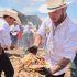barbacoa