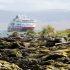 Reactivará Argentina reclamo sobre las Islas Malvinas 