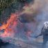 Incendio forestal en un bosque de México