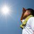 Enfermedades causadas por el calor