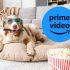 Prime Video lanza especial para calmar a los perros por los fuegos artificiales
