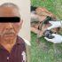 UEIDCA y la Procuraduría de Hidalgo investigan grave caso de maltrato animal en Colinas de Plata.