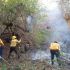 incendio forestal