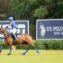 U.S. Polo Assn., la marca deportiva oficial de la United States Polo Association (USPA), anuncia con orgullo el inicio de la temporada de polo de alto hándicap 2026