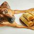 ¿Dónde comprar tamales para perro en CDMX?