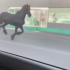 Un caballo negro fue captado recorriendo la Avenida Lincoln de Monterrey como si se tratara de un vehículo más, desafiando el tráfico urbano y dejando atónitos a los ciudadanos que presenciaron la escena.