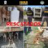 Se procedió al rescate de los caninos que quedaron bajo resguardo de la CEPANAF donde recibirán atención veterinaria