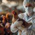 Uruguay también declaró emergencia sanitaria tras detectar influenza aviar H5 en fauna silvestre.