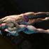 Los clavadistas Juan Manuel Celaya Hernandez y Osmar Olvera Ibarra tendrán la oportunidad de competir en territorio mexicano con esta medida de World Aquatics.