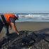 Trabajador con chaleco reflectante inspecciona gran masa de chapopote solidificado sobre la arena en una playa del litoral de Veracruz.